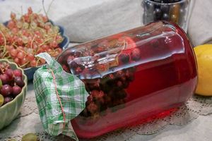 Компот мохито с черной смородиной Компот мохито с черной смородиной